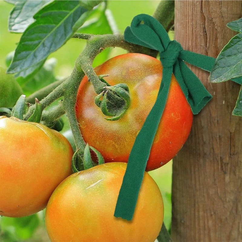 Garden ClimbPro Plant Support Straps Durable Plant Support Ties For Vines Vegetables 2