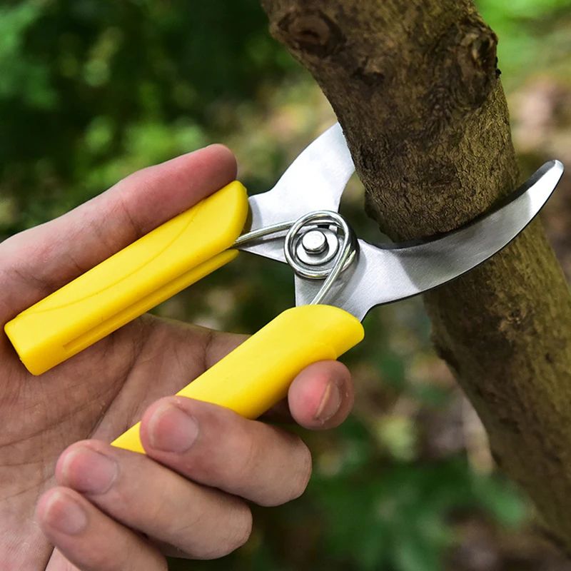Precision Grafting Knife And Pruning Knife For Fruit Trees Stainless Steel Branch Cutter With NonS 1