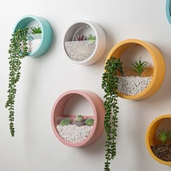 nordic wall mounted hydroponic planter – sleek circular plant pot for stylish home wall decor