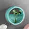 Nordic Wall Mounted Hydroponic Planter Sleek Circular Plant Pot For Stylish Home Wall Decor 1