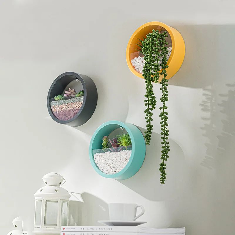 Nordic Wall Mounted Hydroponic Planter Sleek Circular Plant Pot For Stylish Home Wall Decor 3