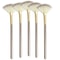 Premium 5Piece Facial Fan Brushes Set Soft Fiber Makeup Brush Applicator With Wooden Handles For G 0