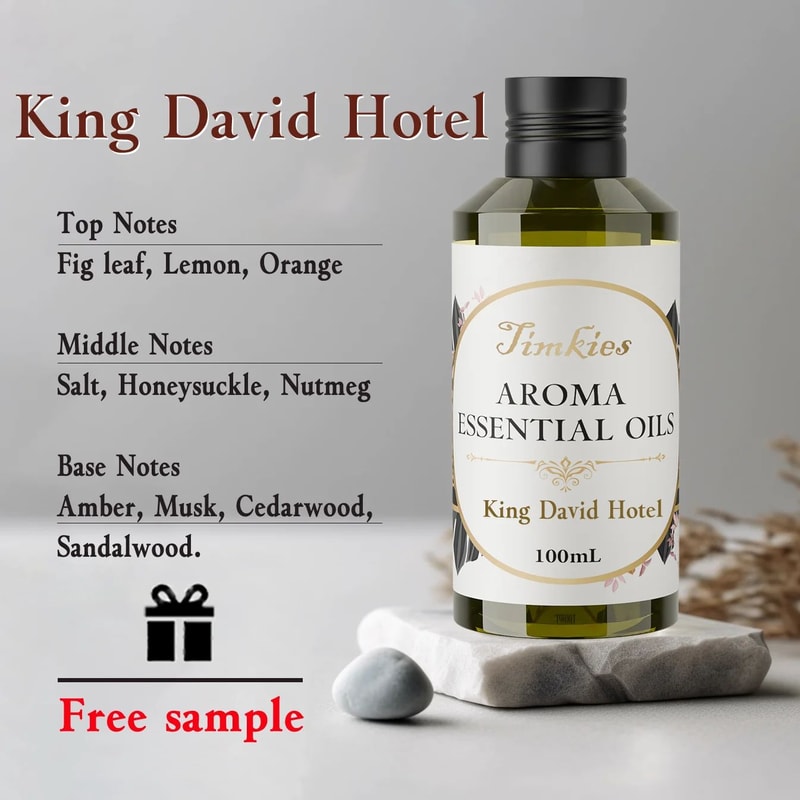 Premium 500 Ml Aroma Diffuser Essential Oil Diffuser With LongLasting Fragrance For Home Hotel 9