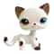 Mini LPS Bobblehead Figure ShortHair Kitten Collectible Mini Pet Toy 11