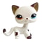 Mini LPS Bobblehead Figure ShortHair Kitten Collectible Mini Pet Toy 11