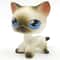 Mini LPS Bobblehead Figure ShortHair Kitten Collectible Mini Pet Toy 4