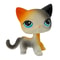Mini LPS Bobblehead Figure ShortHair Kitten Collectible Mini Pet Toy 7