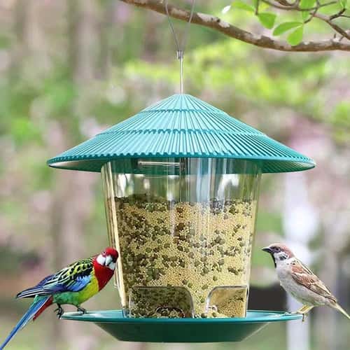 Clear Window Bird Feeder House – Hanging Wild Bird Feeding Station for Seeds, Nuts & Peanuts