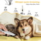 Quiet LED Dog Paw Trimmer Waterproof Cordless Pet Hair Clippers For Dogs Cats 4