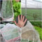 Fine Mesh Insect Netting For Garden Vegetable Protection Net And Anti Bird Netting 3