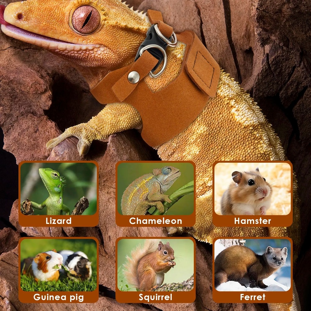 Soft Adjustable Reptile Harness Leash Set For Bearded Dragons And Lizards 3Pack 5