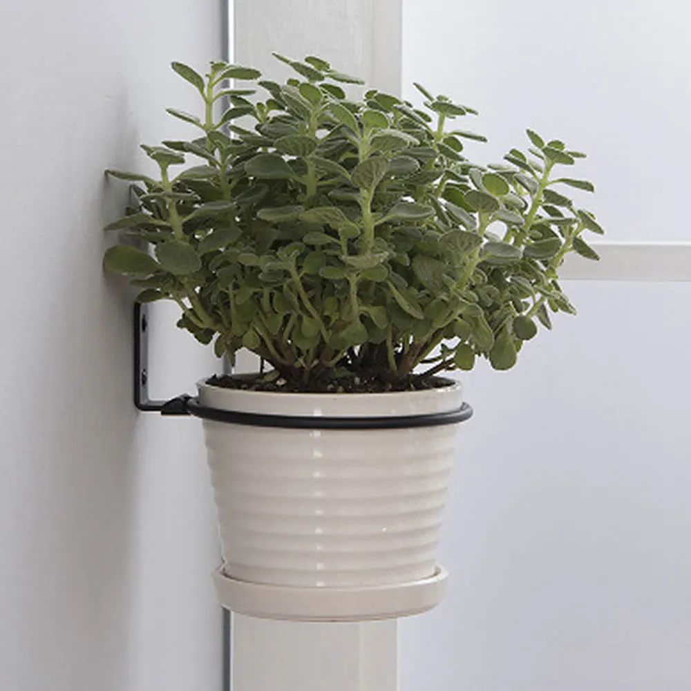 Wall Mounted Plant Holder Ring Metal Planter Hanger Bracket For Pots 2
