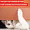 Transparent Cat Scratch Furniture Protector Tape 300cm Pet Sofa AntiScratch Film 2
