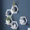 PunchFree Hexagon Wall Shelves Set 3 Or 6 Wall Mounted Plant Decor Display 0