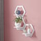 PunchFree Hexagon Wall Shelves Set 3 Or 6 Wall Mounted Plant Decor Display 1