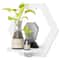 PunchFree Hexagon Wall Shelves Set 3 Or 6 Wall Mounted Plant Decor Display 4