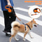 FreedomGlide Retractable Dog Leash Up To 8m Up To 50kg For Small Large Dogs 1