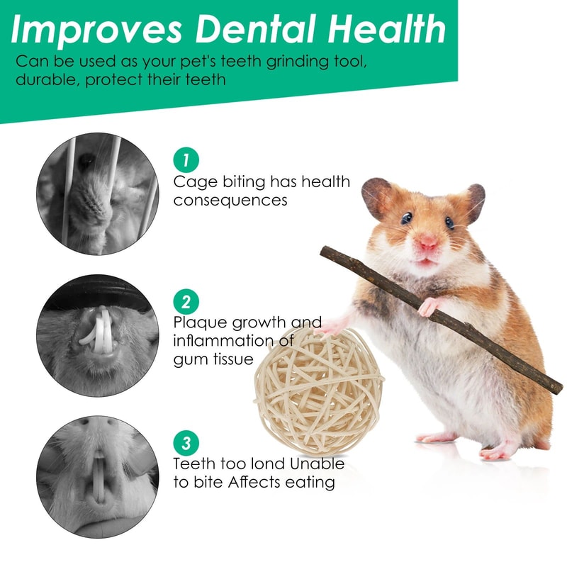 Natural Wood Chew Toy Set For Small Pets Ultimate Hamster Chew Toy Set For Dental Health Play 1