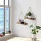 Boho Hanging Plant Shelf Wooden Wall Shelf With Rope Wall Hanging Planter Display Rack 1