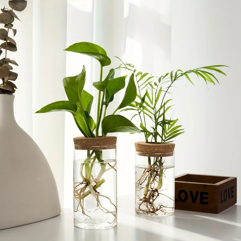 Desktop Glass Hydroponic Propagation Vase For Plant Cuttings Home Decor 2
