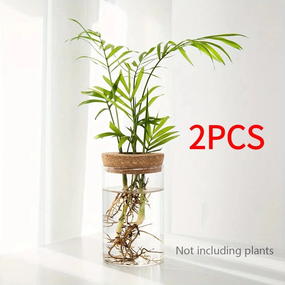 Desktop Glass Hydroponic Propagation Vase For Plant Cuttings Home Decor 9