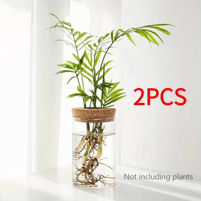 Desktop Glass Hydroponic Propagation Vase For Plant Cuttings Home Decor 9