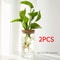 Desktop Glass Hydroponic Propagation Vase For Plant Cuttings Home Decor 10