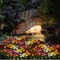 Solar Garden Orchid Lights Outdoor Lamp Solar Simulation Flower Decor 2