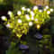 Solar Gardenia Flower Light Warm White Outdoor Solar Garden Lamp For Lawn Garden Decor 0
