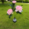 Peony Glow Solar Garden Lights 3Head Solar Garden Lights Outdoor Pathway Decor 4