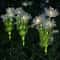 Solar Shore Flower Stake Lights Waterproof Outdoor Solar Stake Lights For Garden Yard Decor 6