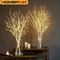 Premium White Birch LED Branch Lights BatteryOperated Festive Decorative Tree Accent 0
