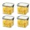 FreshSeal Large Capacity Airtight Food Storage Containers Set 3