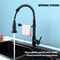 ProFlow 360 Pull Down Kitchen Faucet With HighPressure Spray 0
