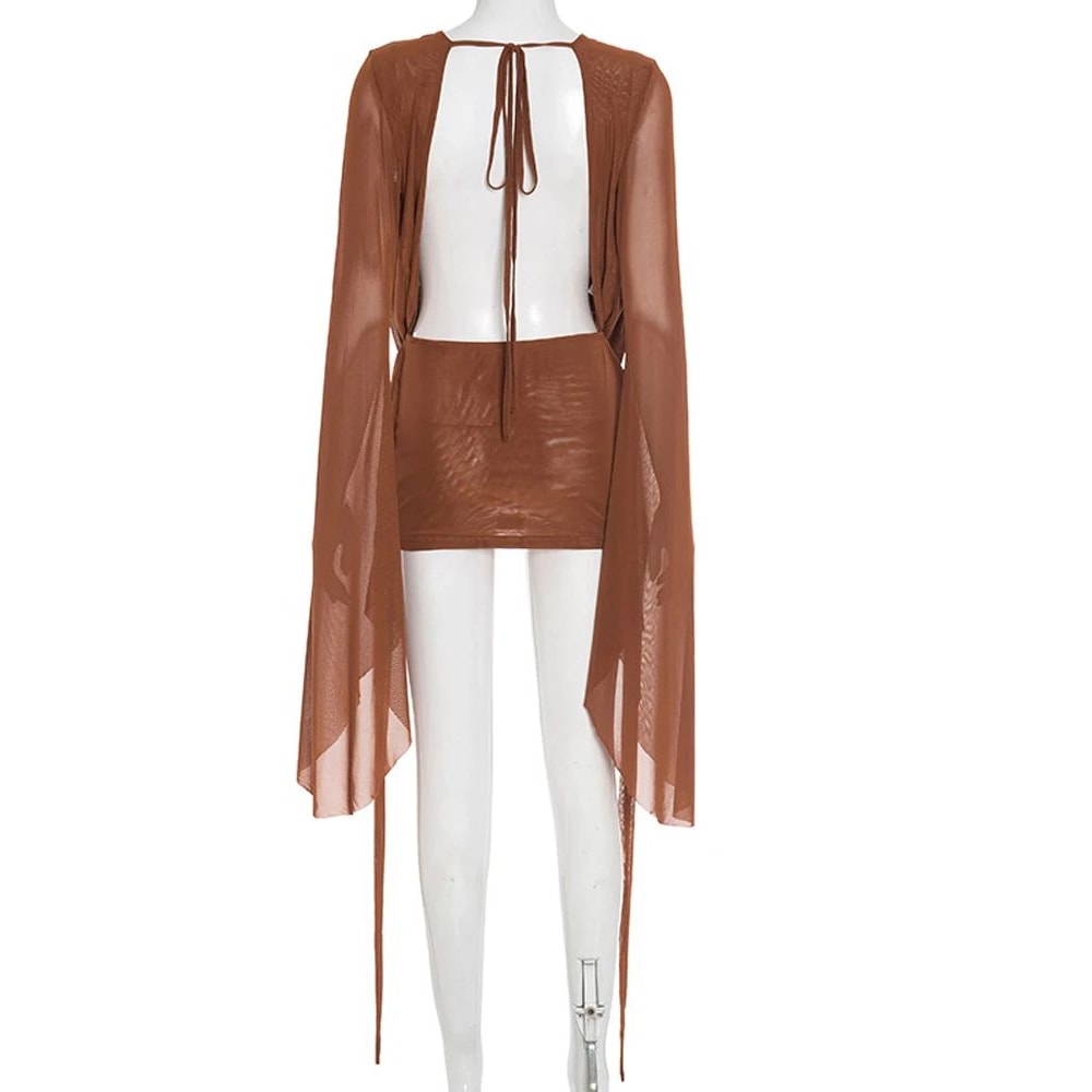 Blush Allure Ruched Sheer Mesh Mini Dress Flare Sleeve VNeck Beach Cover Up Night Out Dress 4