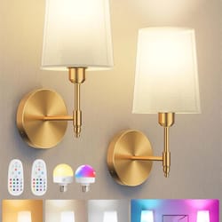 wiring-free battery operated wall sconce with 4000mah rechargeable detachable bulb, remote dimming & 15 colors