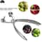 Cherry Pitter And Olive Pitter Handheld Plunger Quick Fruit Pit Remover Tool For Clean Intact Frui 0