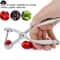 Cherry Pitter And Olive Pitter Handheld Plunger Quick Fruit Pit Remover Tool For Clean Intact Frui 1