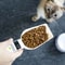 SmartMeasure 800g Digital Kitchen Scale Spoon For Precise Pet Home Portioning 1
