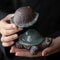 Ceramic Turtle Tea Strainer Tea Pet For Gongfu Kung Fu Tea Tables 5
