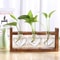 Heart Frame Hydroponic Plant Vase Vintage Wooden Glass Tabletop Flower Vase For Modern Home Decor 2