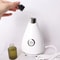 NanoGlow Pro Portable Nano Ionic Facial Steamer Face Sprayer 3