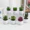 Evergreen Mini Artificial Succulent Bonsai Realistic Fake Cactus Plant For Desk Home Decor 1