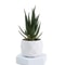 Evergreen Mini Artificial Succulent Bonsai Realistic Fake Cactus Plant For Desk Home Decor 4