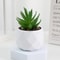 Evergreen Mini Artificial Succulent Bonsai Realistic Fake Cactus Plant For Desk Home Decor 13