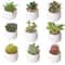 Mini Lifelike Artificial Succulent Plants Modern Faux Cactus Decor For Home Office 3