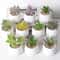 Mini Lifelike Artificial Succulent Plants Modern Faux Cactus Decor For Home Office 4