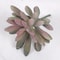 Mini Lifelike Artificial Succulent Plants Modern Faux Cactus Decor For Home Office 14