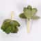 Mini Lifelike Artificial Succulent Plants Modern Faux Cactus Decor For Home Office 9