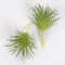 Mini Lifelike Artificial Succulent Plants Modern Faux Cactus Decor For Home Office 10